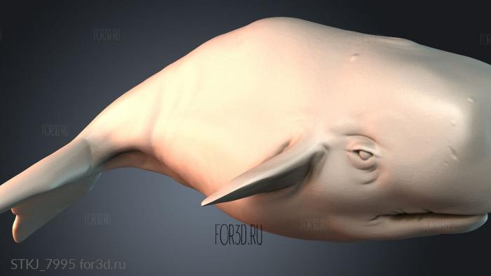 STKJ_7995 3d stl модель для ЧПУ