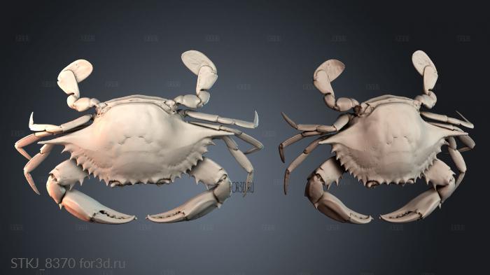 STKJ_8370 3d stl модель для ЧПУ