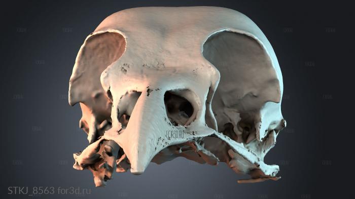 STKJ_8563 3d stl модель для ЧПУ