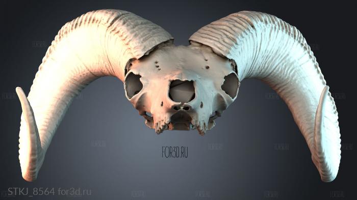 STKJ_8564 3d stl модель для ЧПУ