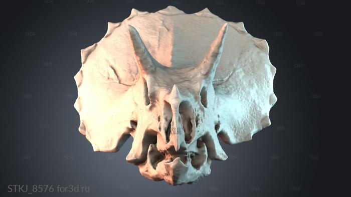 STKJ_8576 3d stl модель для ЧПУ