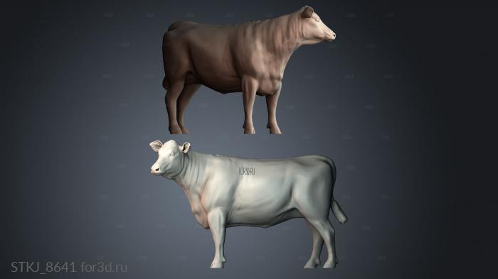 STKJ_8641 3d stl модель для ЧПУ