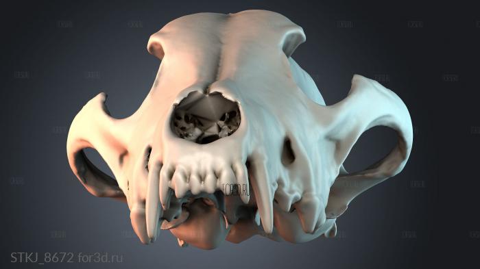 STKJ_8672 3d stl модель для ЧПУ