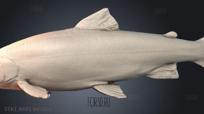 STKJ_8691 3d stl модель для ЧПУ