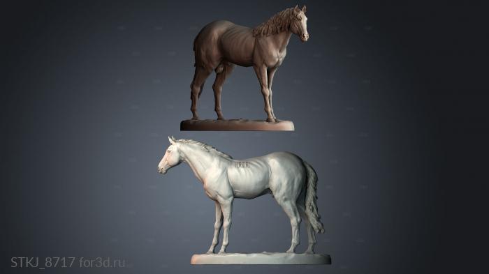 STKJ_8717 3d stl модель для ЧПУ