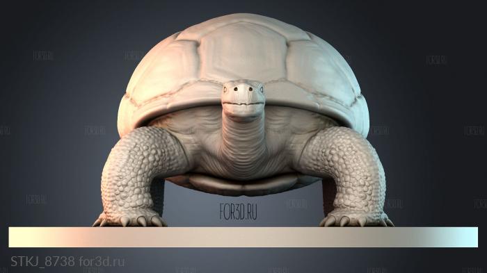 STKJ_8738 3d stl модель для ЧПУ