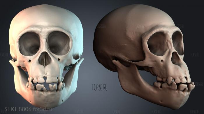 STKJ_8806 3d stl модель для ЧПУ