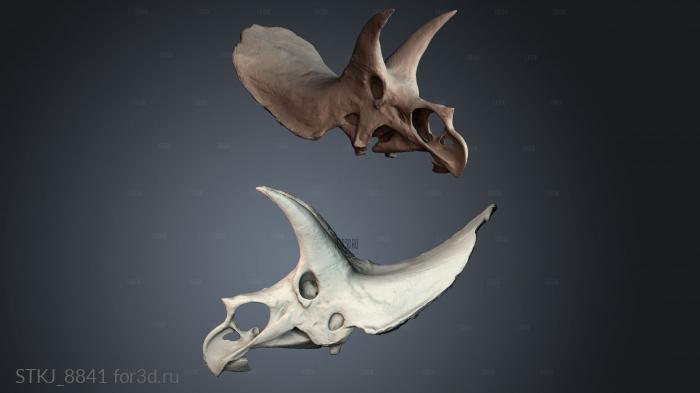 STKJ_8841 3d stl модель для ЧПУ