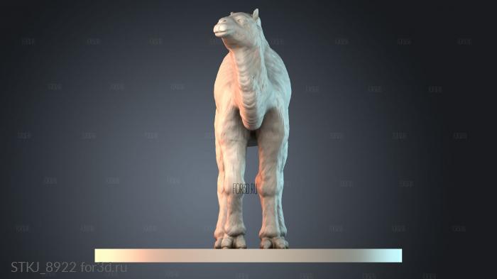 STKJ_8922 3d stl модель для ЧПУ