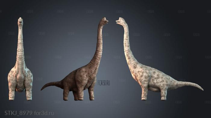 STKJ_8979 3d stl модель для ЧПУ