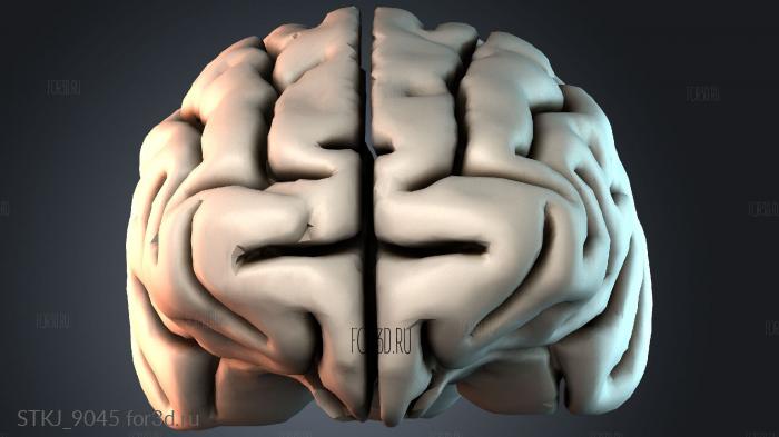 STKJ_9045 3d stl модель для ЧПУ