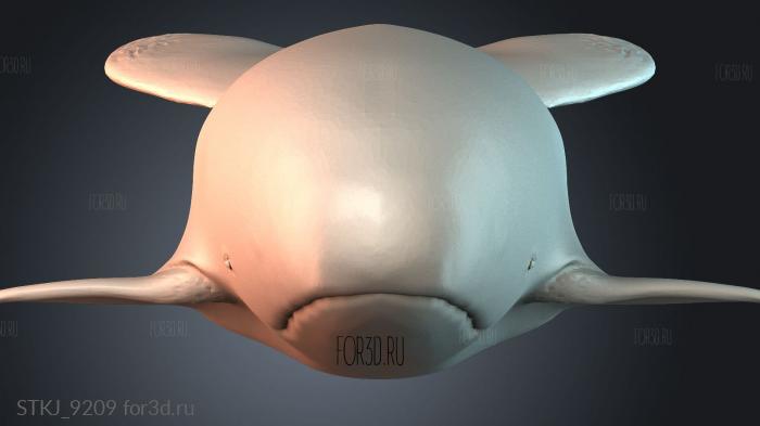 STKJ_9209 3d stl модель для ЧПУ