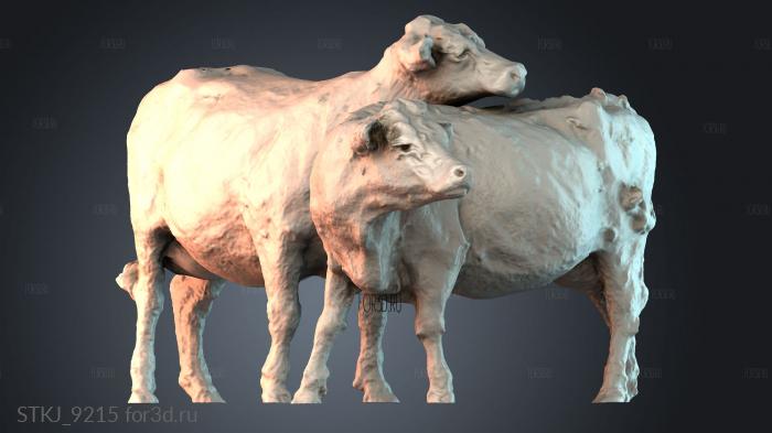 STKJ_9215 3d stl модель для ЧПУ