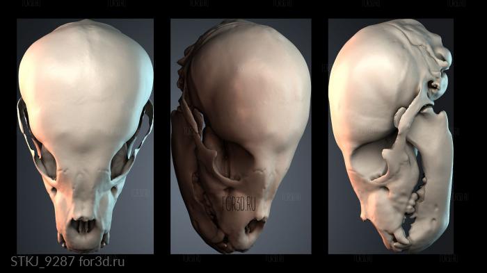 STKJ_9287 3d stl модель для ЧПУ