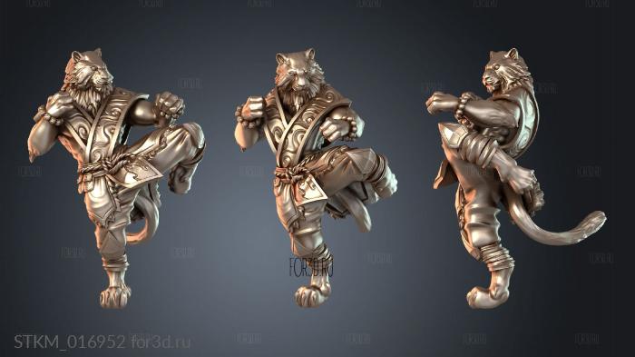 STKM_016952 3d stl модель для ЧПУ