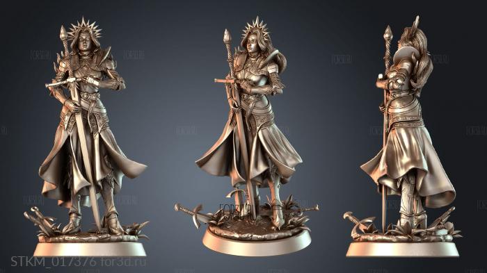 STKM_017376 stl model for CNC