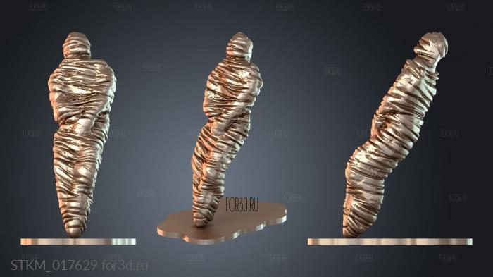 STKM_017629 stl model for CNC