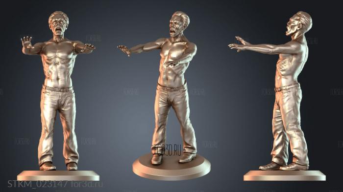 STKM_023147 stl model for CNC