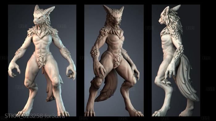 STKM_023258 stl model for CNC