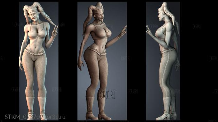 STKM_023709 stl model for CNC