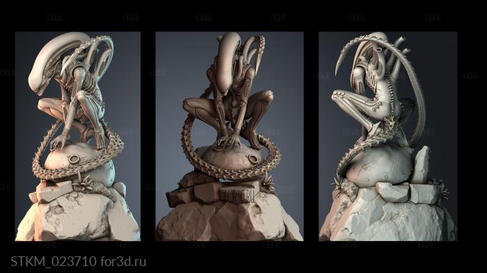 STKM_023710 stl model for CNC