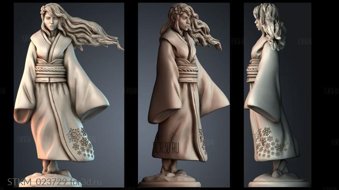 STKM_023729 stl model for CNC