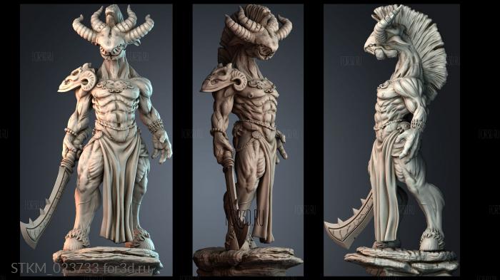 STKM_023733 stl model for CNC