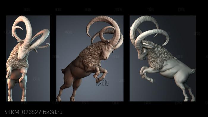 STKM_023827 stl model for CNC