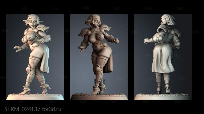 STKM_024137 stl model for CNC