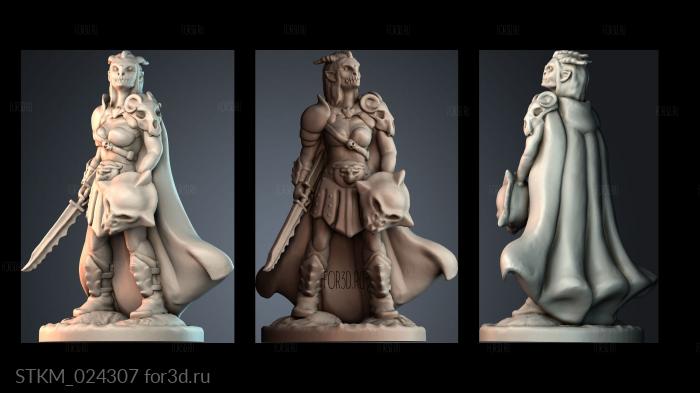 STKM_024307 3d stl модель для ЧПУ