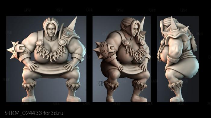 STKM_024433 stl model for CNC