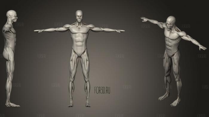 Breathing Idle Animation Anatomy stl model for CNC