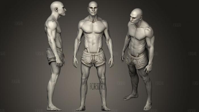 Different Heights of Human Body stl model for CNC