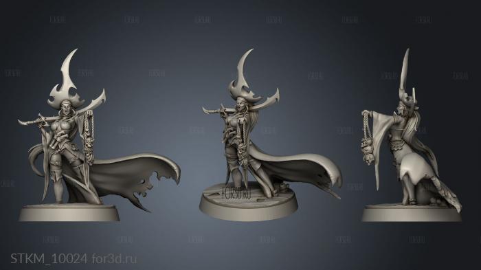 Pirates Curse the Dead Seas Heroes Pirate Queen stl model for CNC