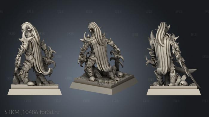 Dark Elves Sq Hero stl model for CNC