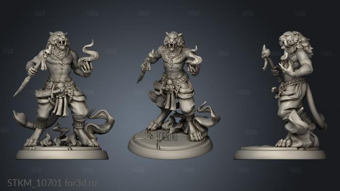 Tabaxi Set stl model for CNC