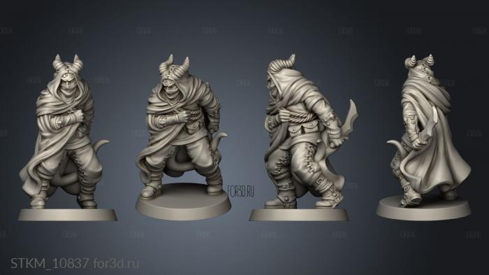 Characters TIEFLING ASSASSIN stl model for CNC