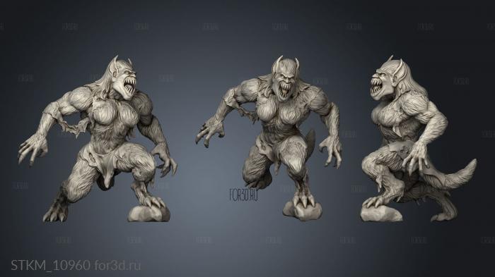 Witcher Contract Female Werebeast stl model for CNC