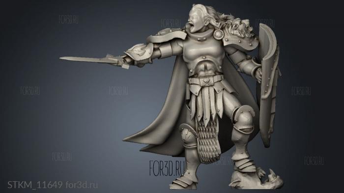 Age Sigmar Proxy Le Stormy Knight stl model for CNC