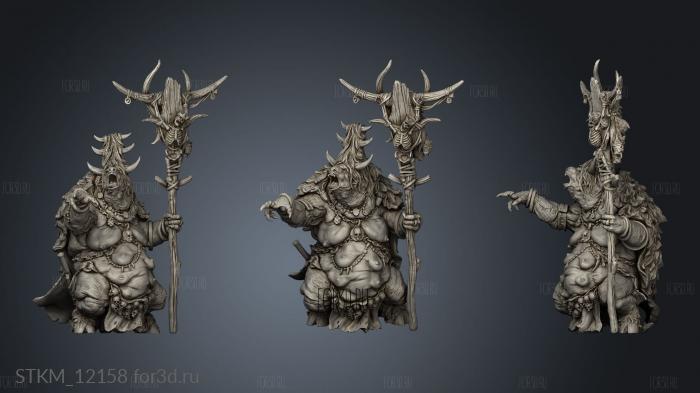 Aurox Minotaurs Bloodbrand Matriarch stl model for CNC