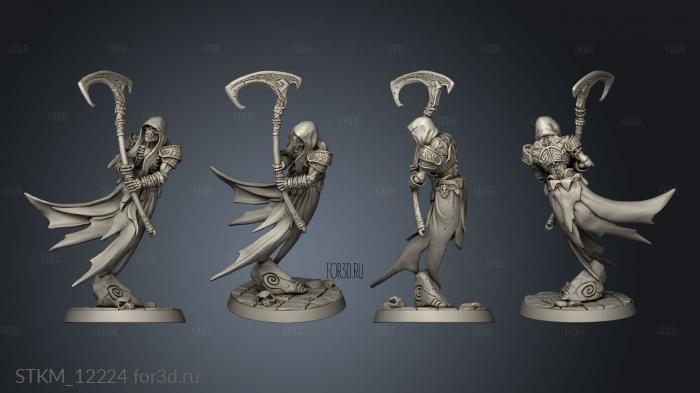 Darkness the Lich Lord Skutagaard Wraiths stl model for CNC