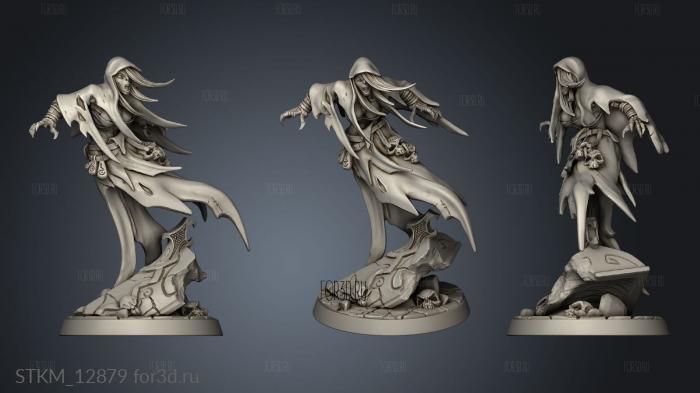 Darkness the Lich Lord Bodil 3d stl модель для ЧПУ