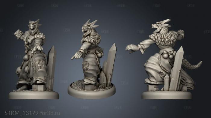 Dragonborn Casters Ice Fire Male Shaman Mm stl model for CNC