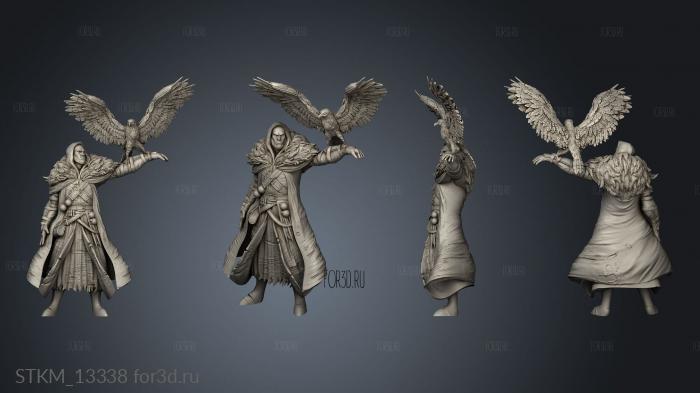 Fey Woods Half Witch Hunter Falcon 3d stl модель для ЧПУ