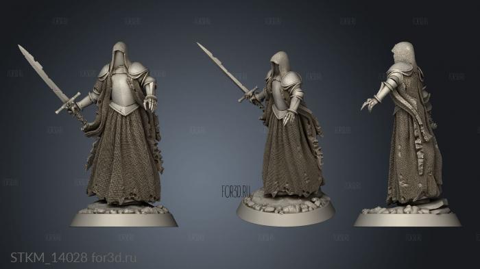 Sorrowsworn Baron Soldiers The Wraith Swordsman Lv stl model for CNC