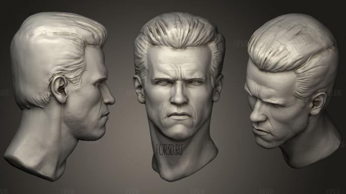 Arnold Schwarzenegger s Head 3d stl модель для ЧПУ