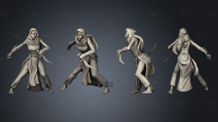 Viziers Assassin Attacking stl model for CNC