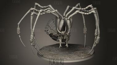 Колония Барнакол Аниса 3d stl модель для ЧПУ