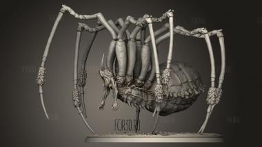 Колония Барнакол Аниса 3d stl модель для ЧПУ