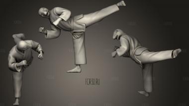Back Kick Karate Snake stl model for CNC